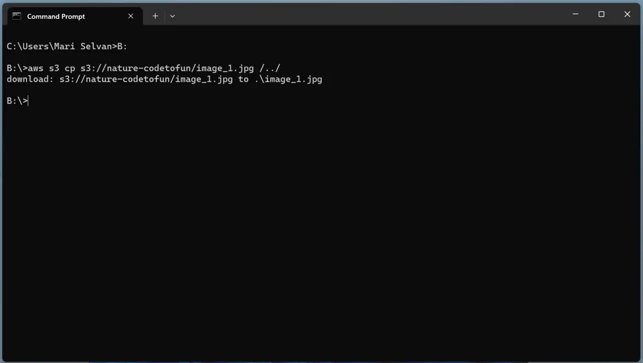 Terminal showing successful download of one image from S3