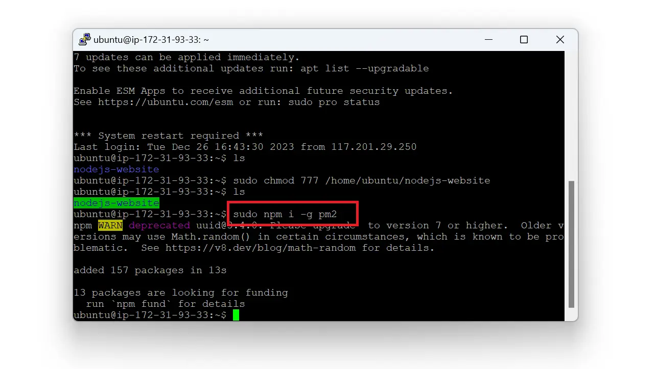 npm global install of PM2 on Ubuntu