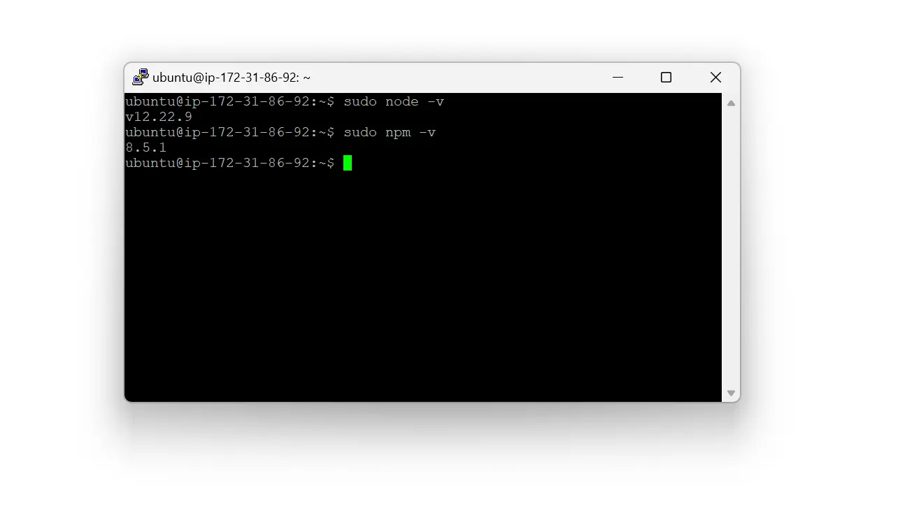 Terminal showing node and npm versions